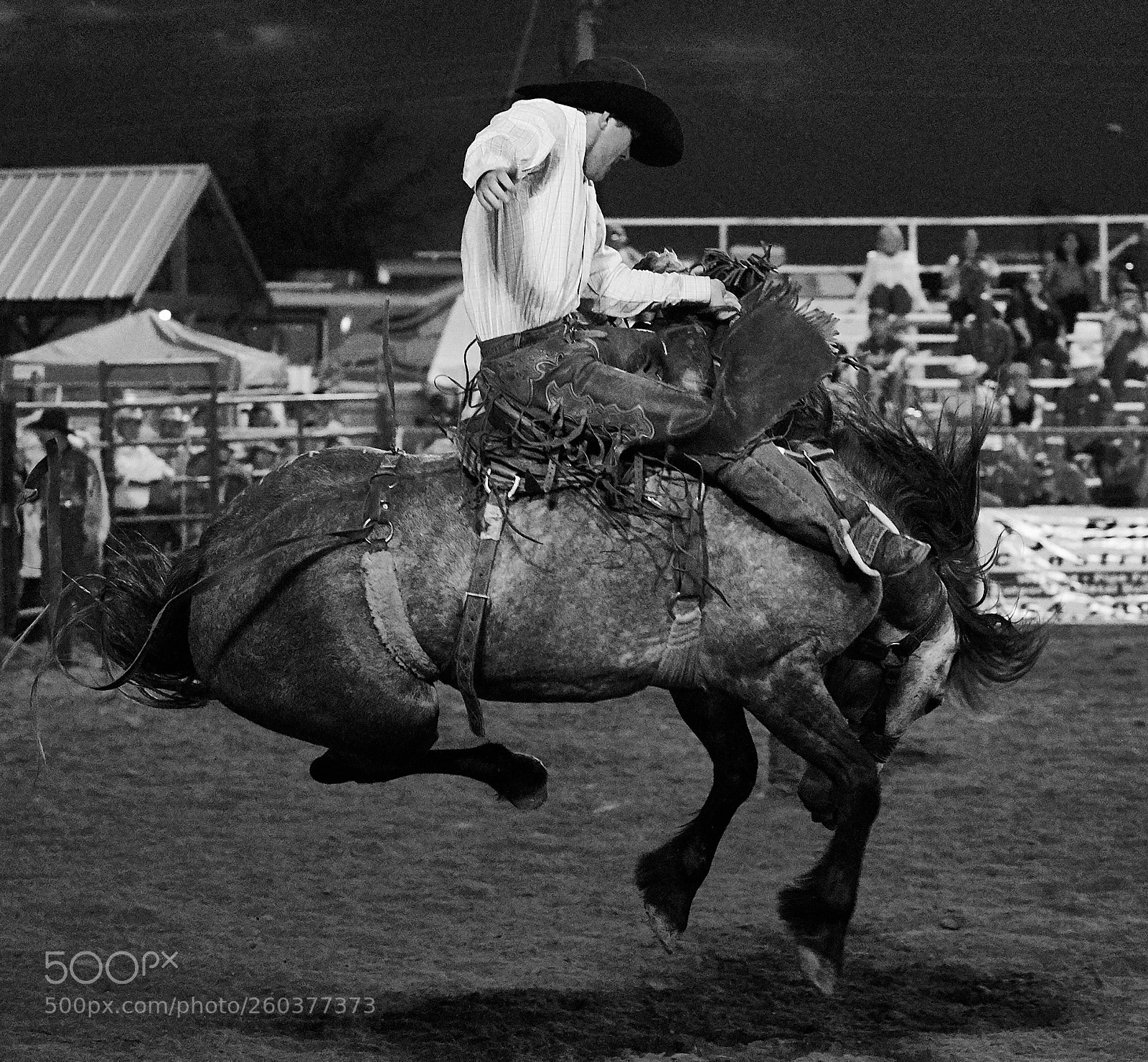 Canon EOS-1D X Mark II sample photo. Rodeo night in killeen photography