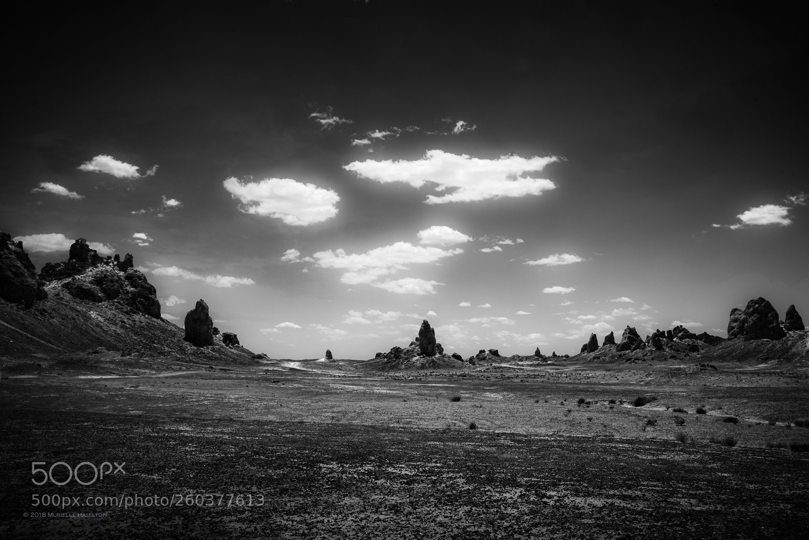 Nikon D800 sample photo. Strange land photography