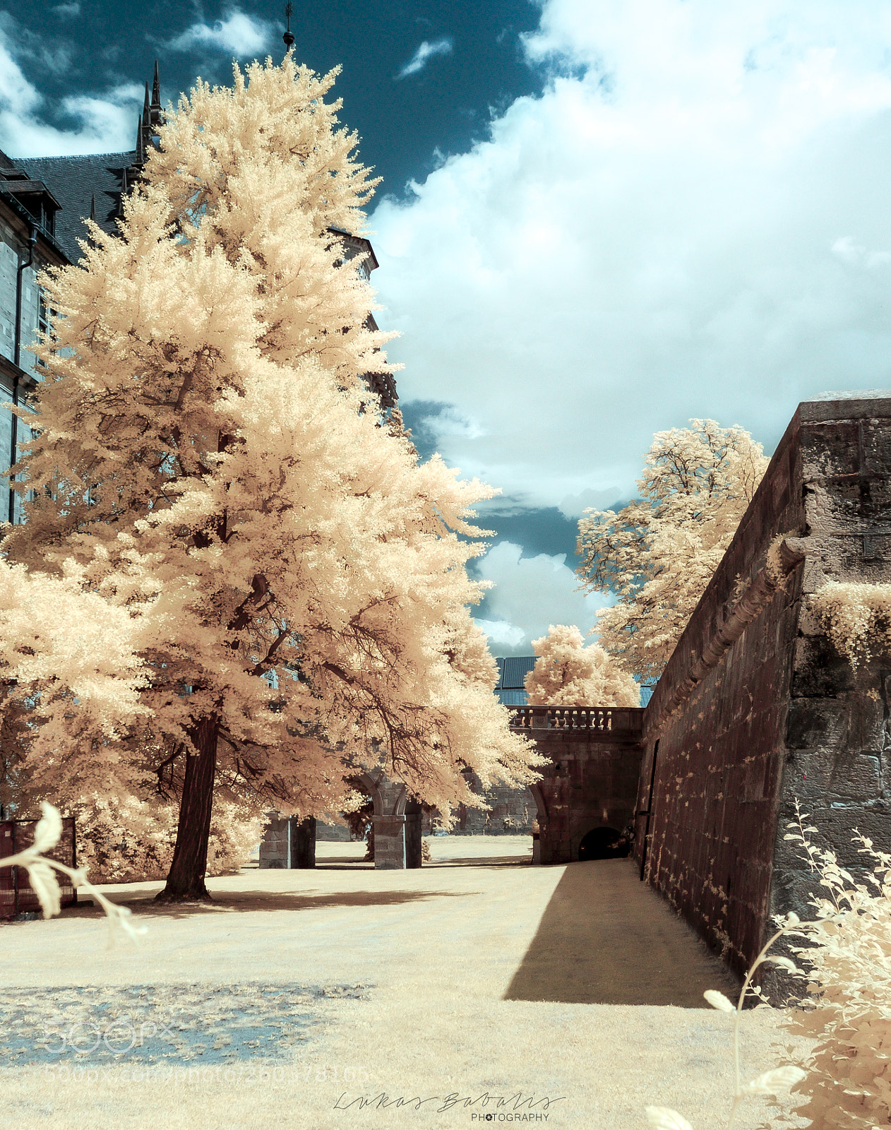 Nikon D90 sample photo. Infragermany photography