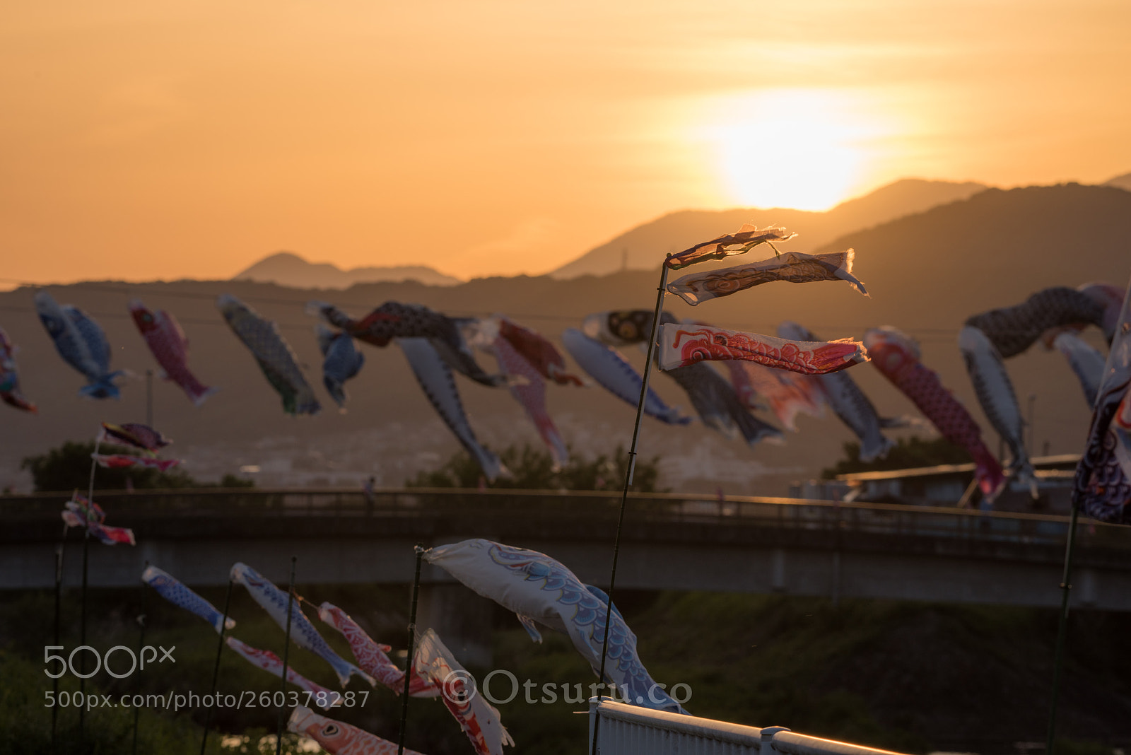 Nikon D810 sample photo. Carp streamer photography