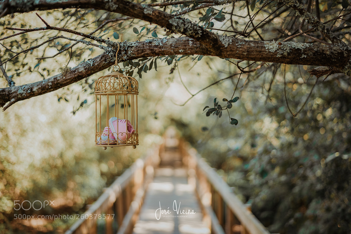 Nikon D600 sample photo. Pink photography