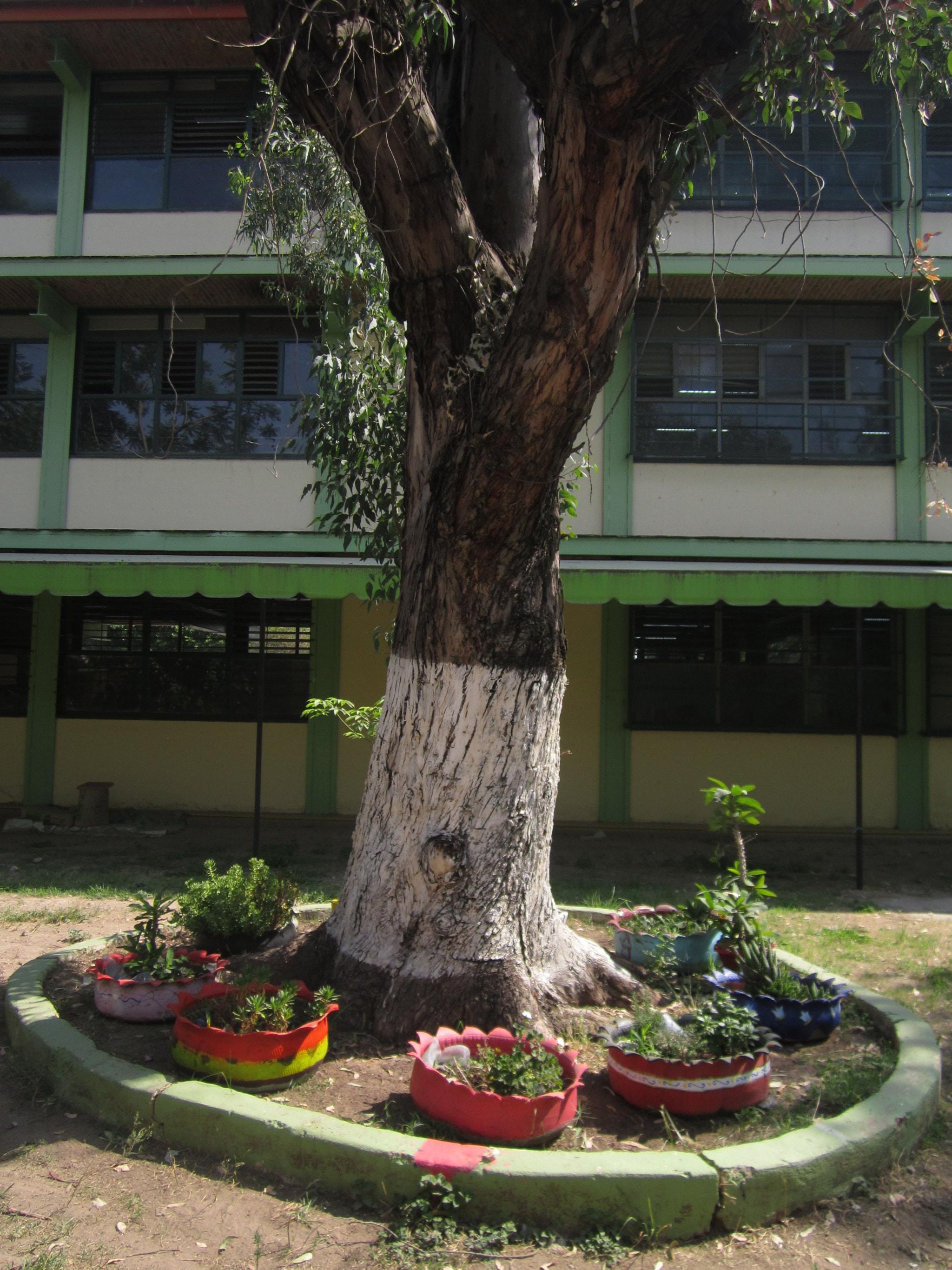 Canon PowerShot A2200 sample photo. Poblado photography