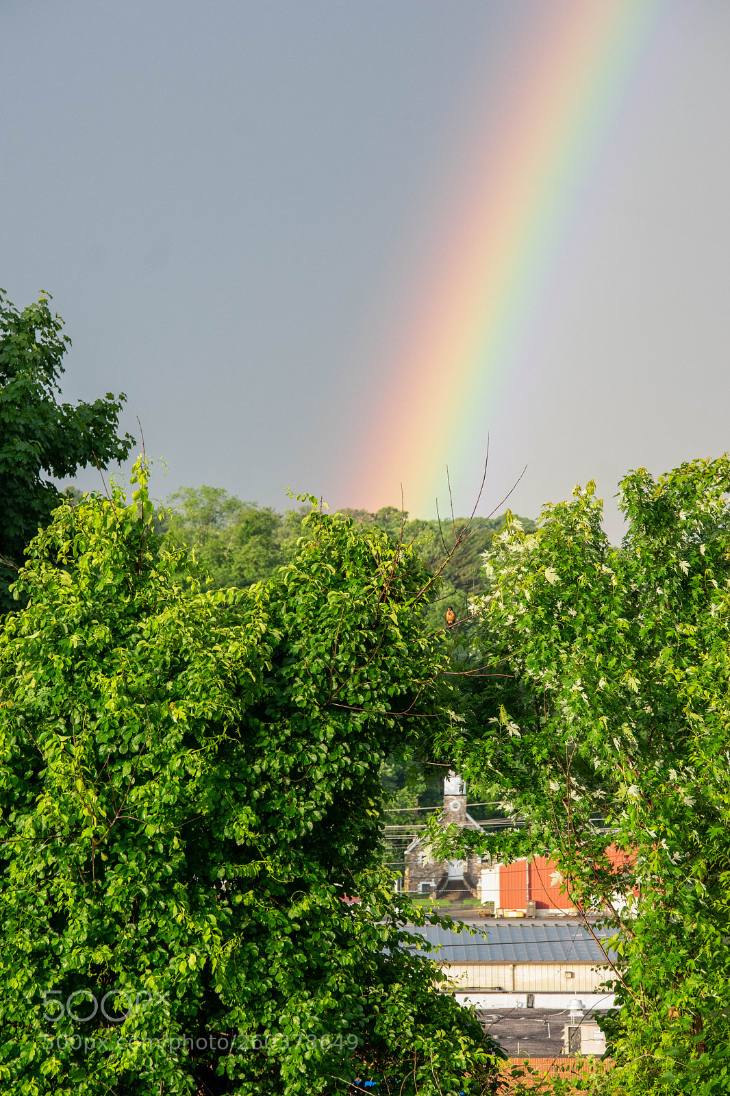 Nikon D3300 sample photo. Under the rainbow end photography