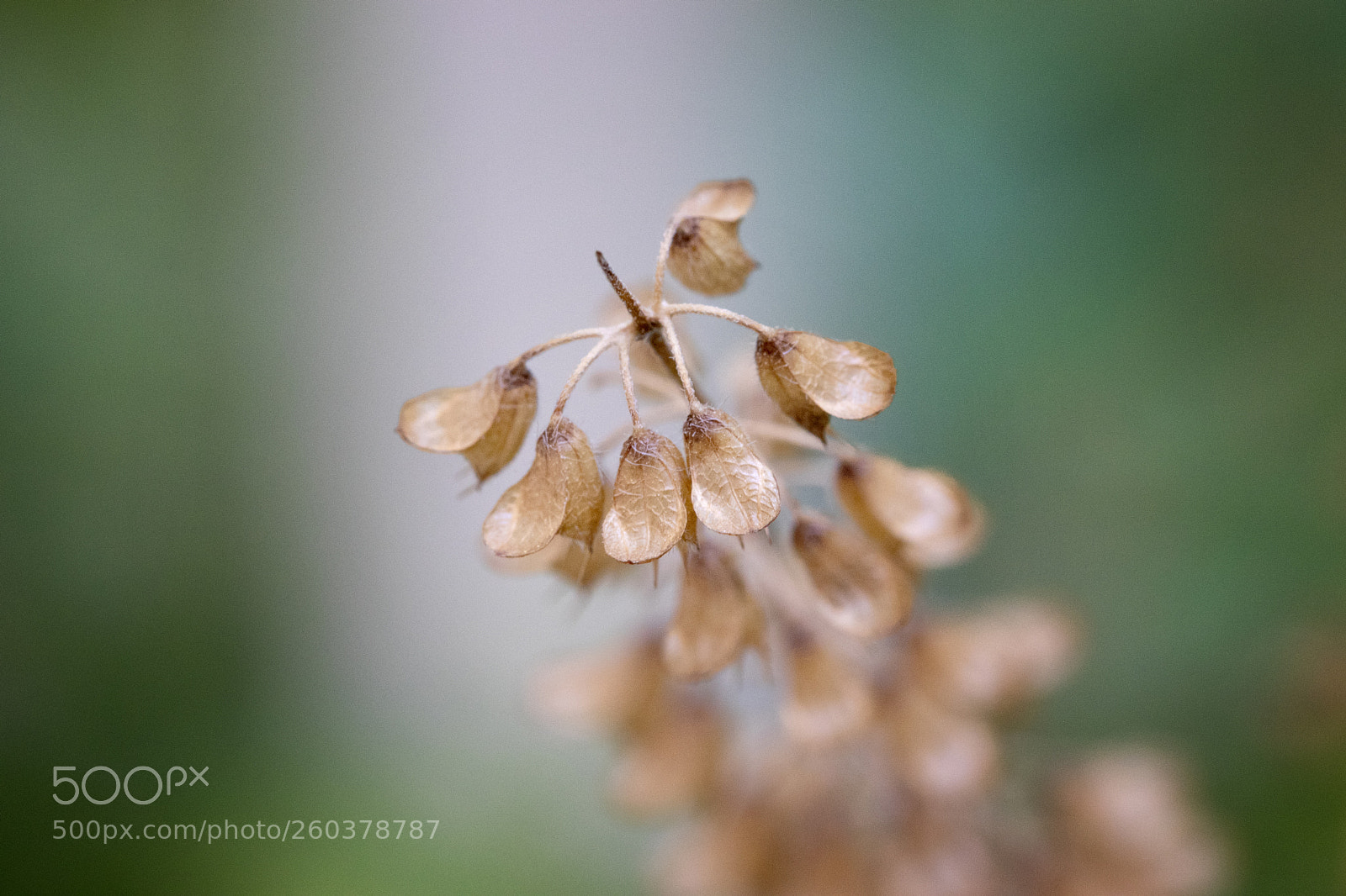 Canon EOS 77D (EOS 9000D / EOS 770D) sample photo. Lifeless photography