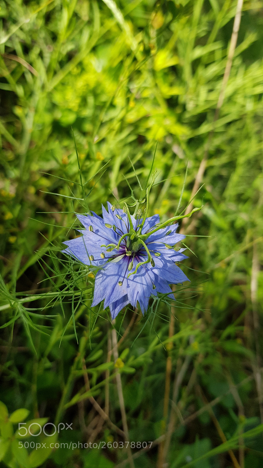 Samsung Galaxy S8 sample photo. Untitled photography