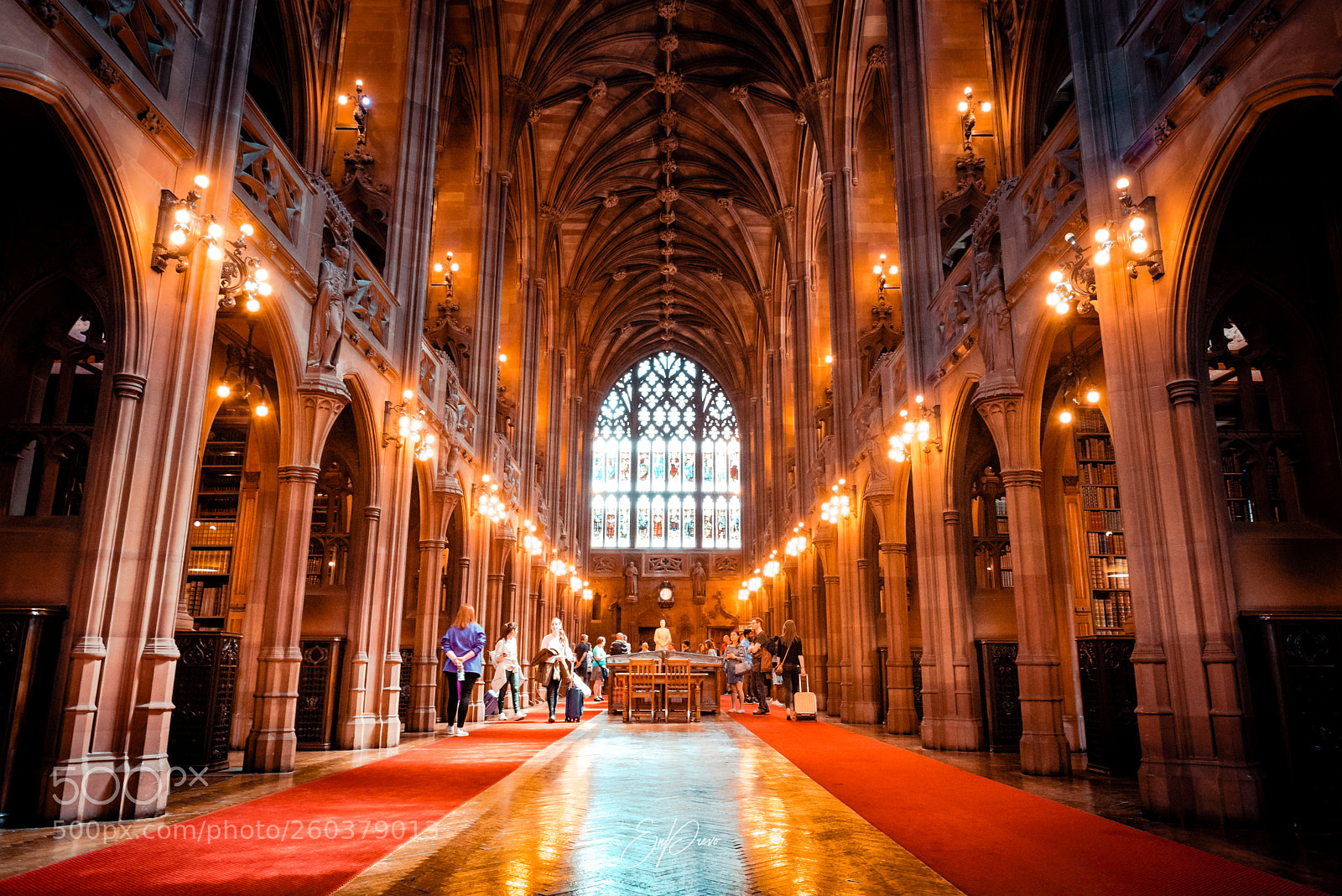 Nikon D750 sample photo. John ryland's library in photography