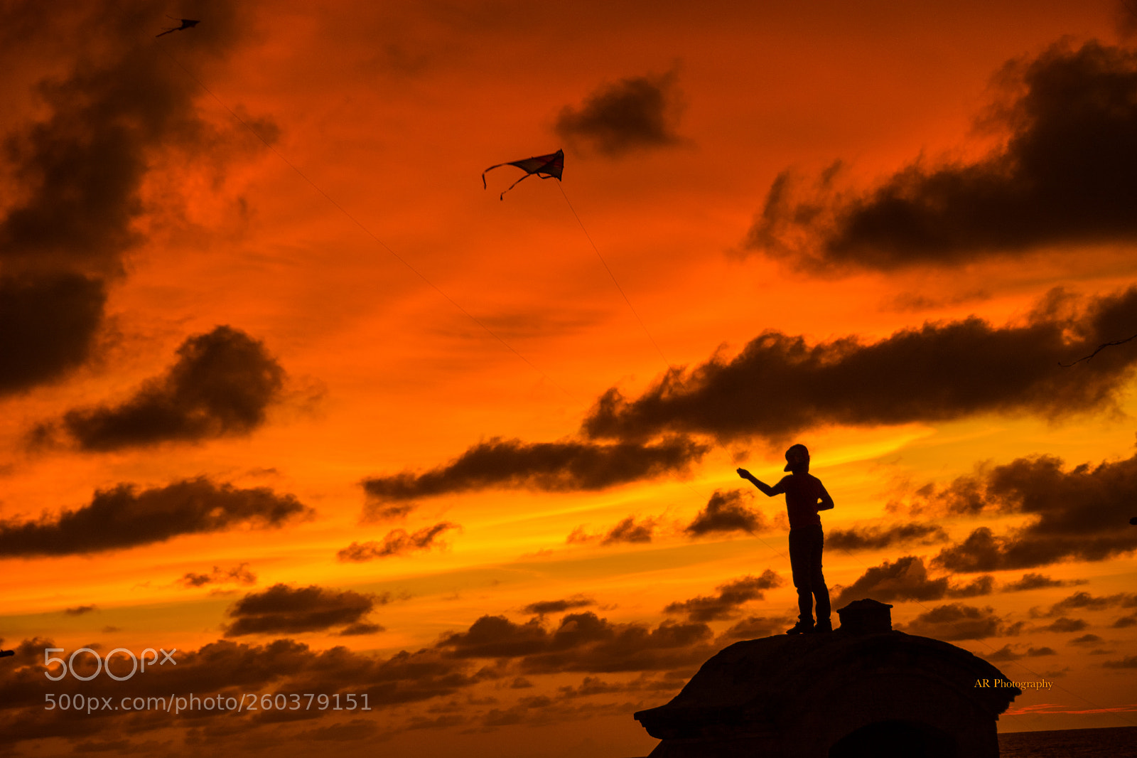 Nikon D7100 sample photo. Kite at sunset photography