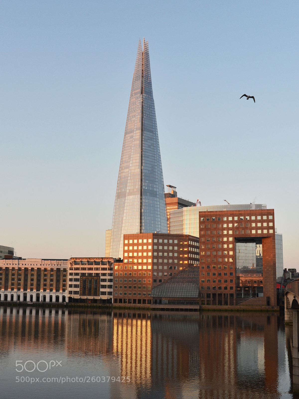 Nikon D600 sample photo. The shard london at photography