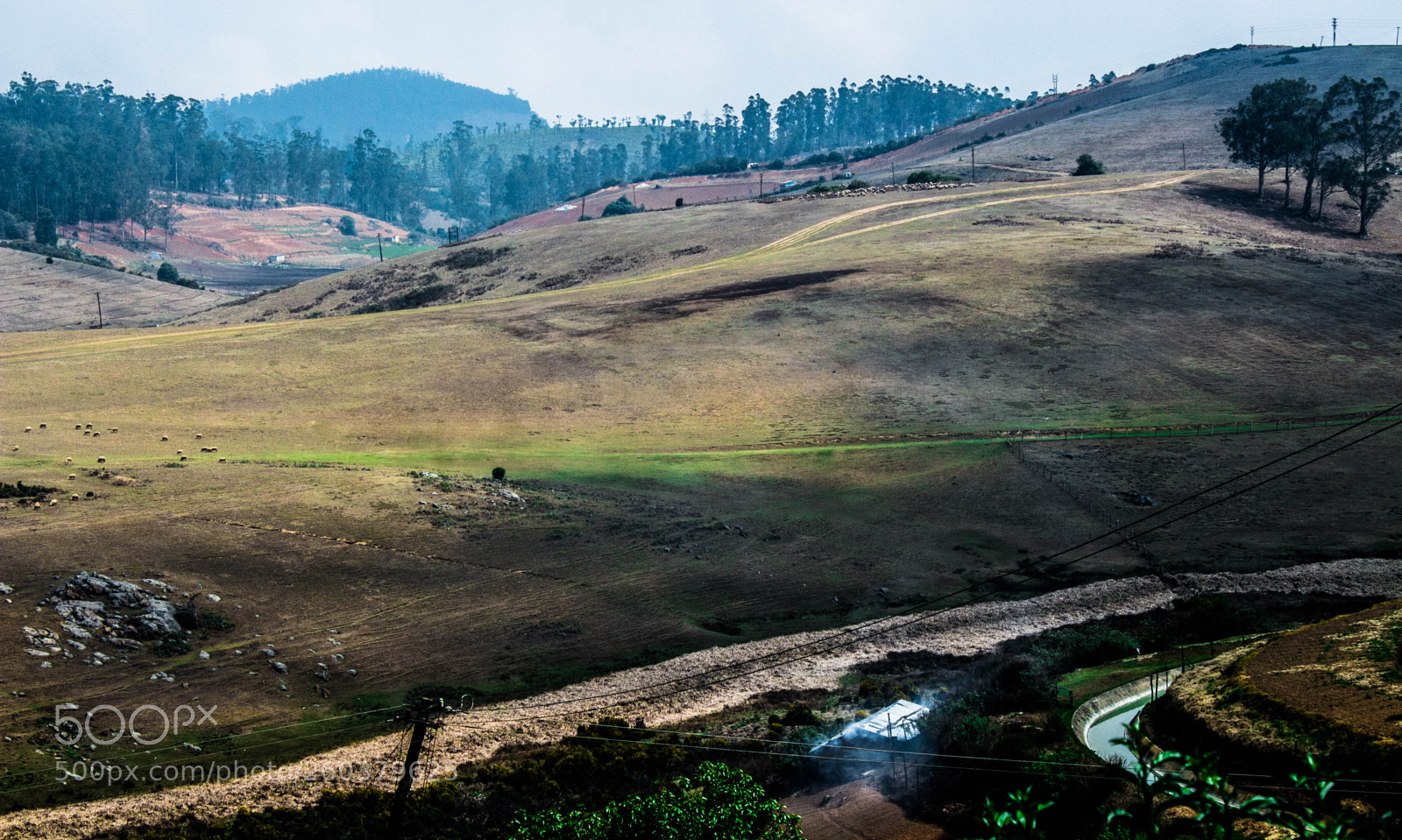 Canon EOS 700D (EOS Rebel T5i / EOS Kiss X7i) sample photo. Shade of nature photography