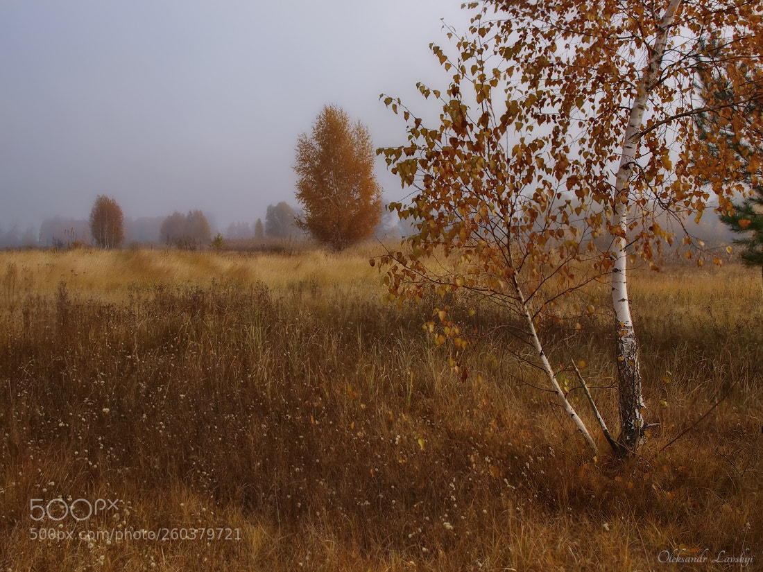 Olympus E-3 sample photo. Indian summer photography