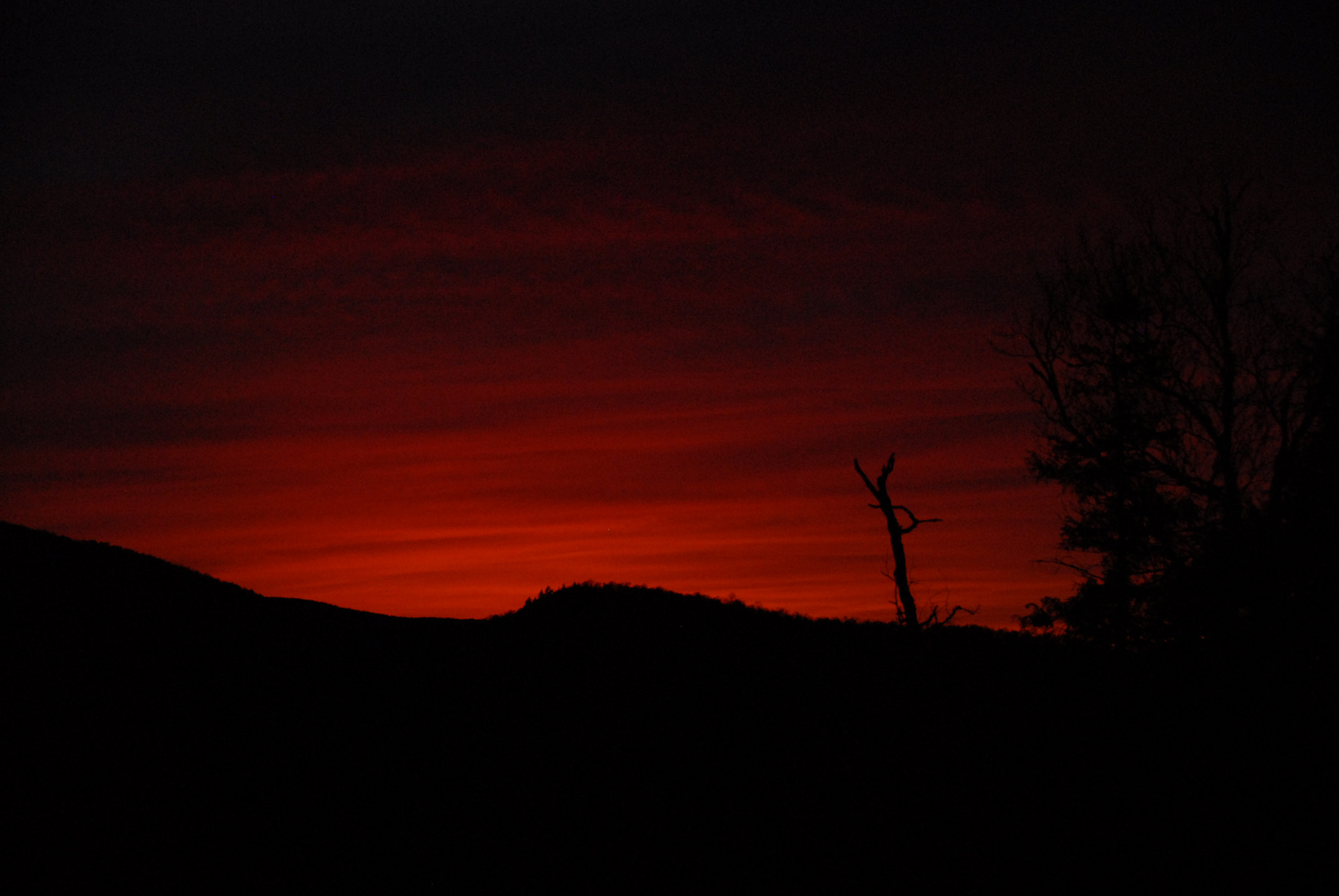 Nikon D200 sample photo. Kur photography