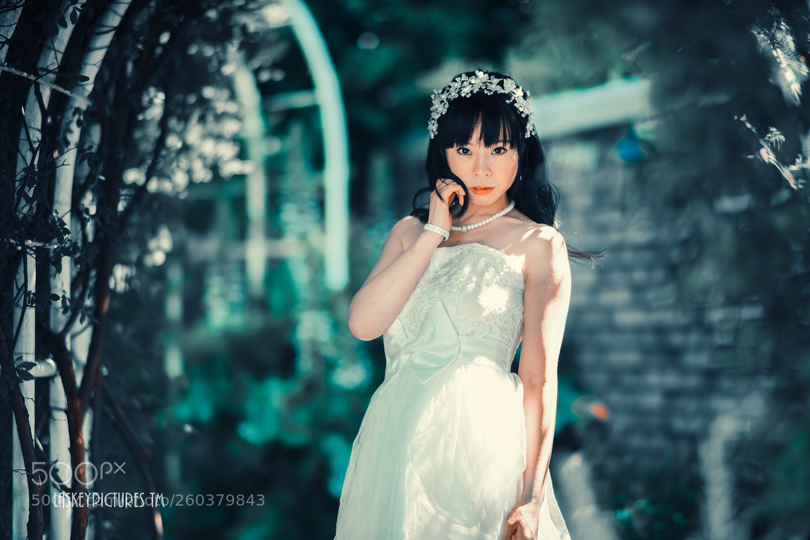 Nikon D850 sample photo. Satori photography