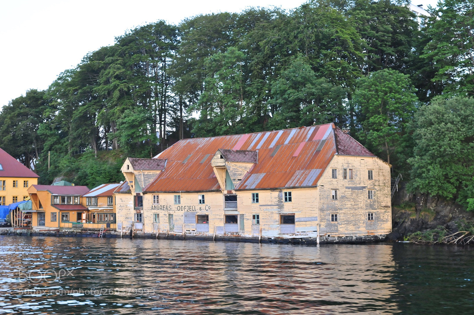 Nikon D300 sample photo. Bergen norvège photography