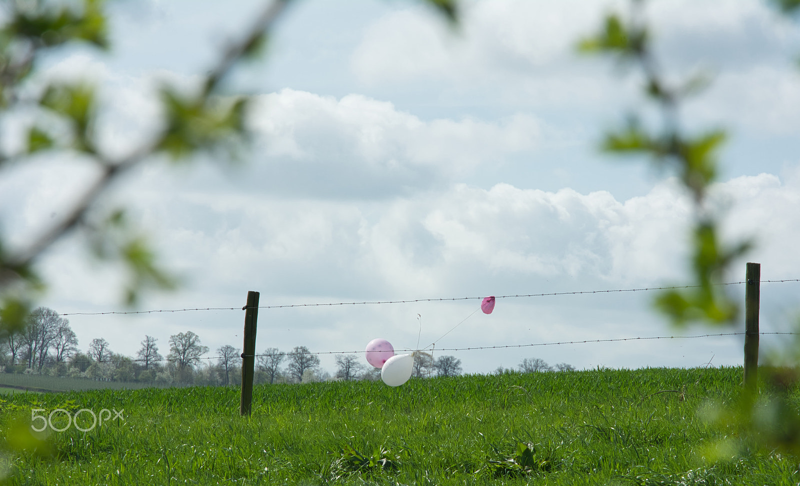 Nikon D7100 sample photo. Balloons caught on a wire fence photography