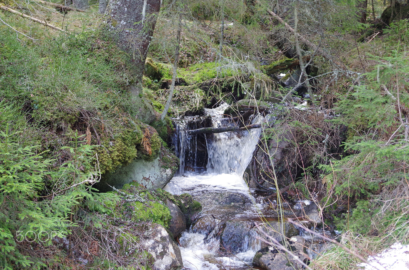 Pentax K-500 sample photo. Small waterfall in a forest photography