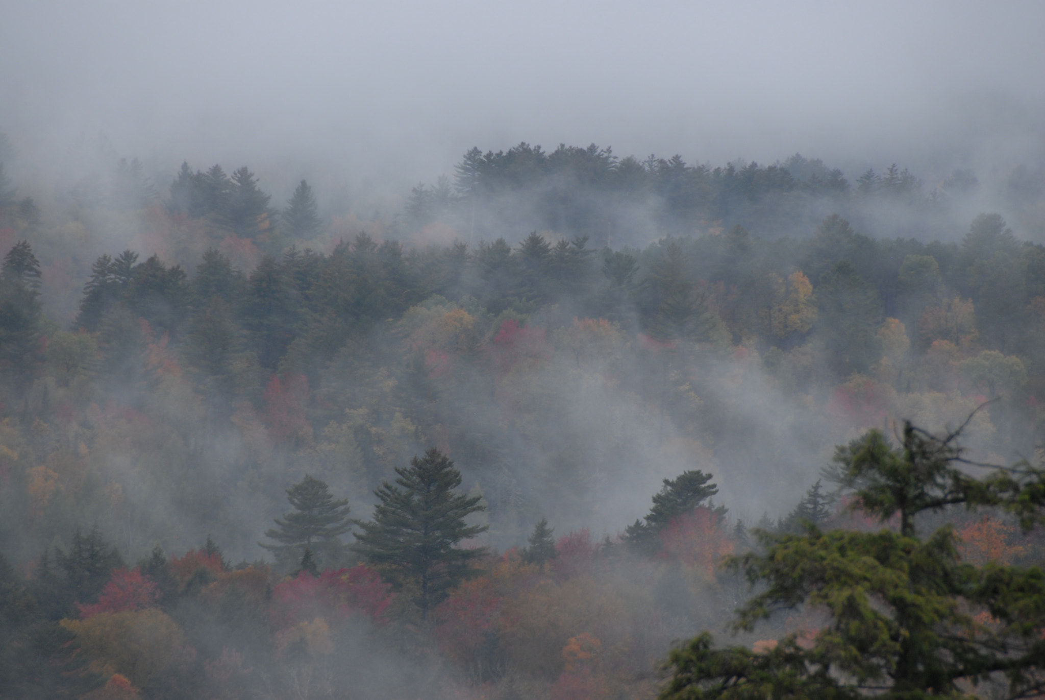 Nikon D200 sample photo. Kur photography