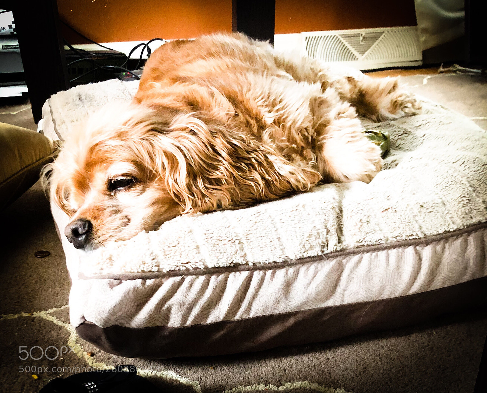Apple iPhone 8 sample photo. Sophie’s nap number 25. photography