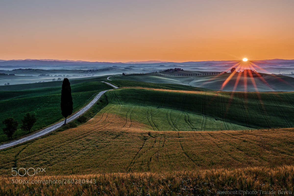 Canon EOS 5D Mark IV sample photo. Der sonne entgegen photography