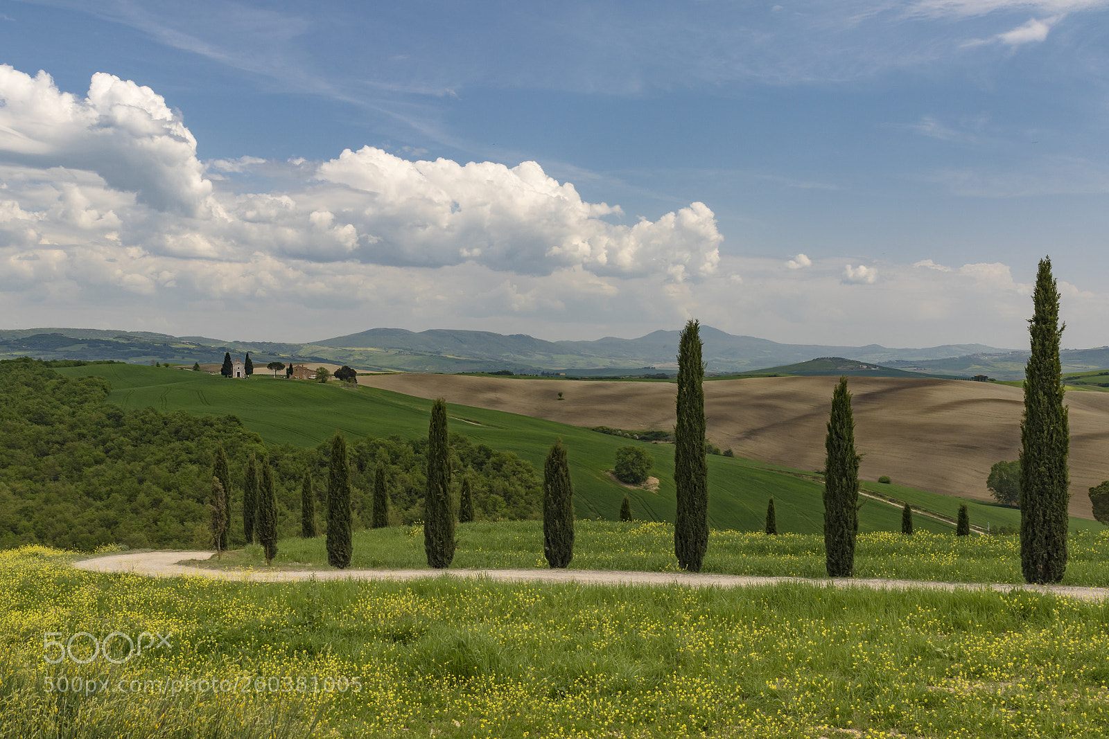 Canon EOS 7D Mark II sample photo. Val d'orcia photography