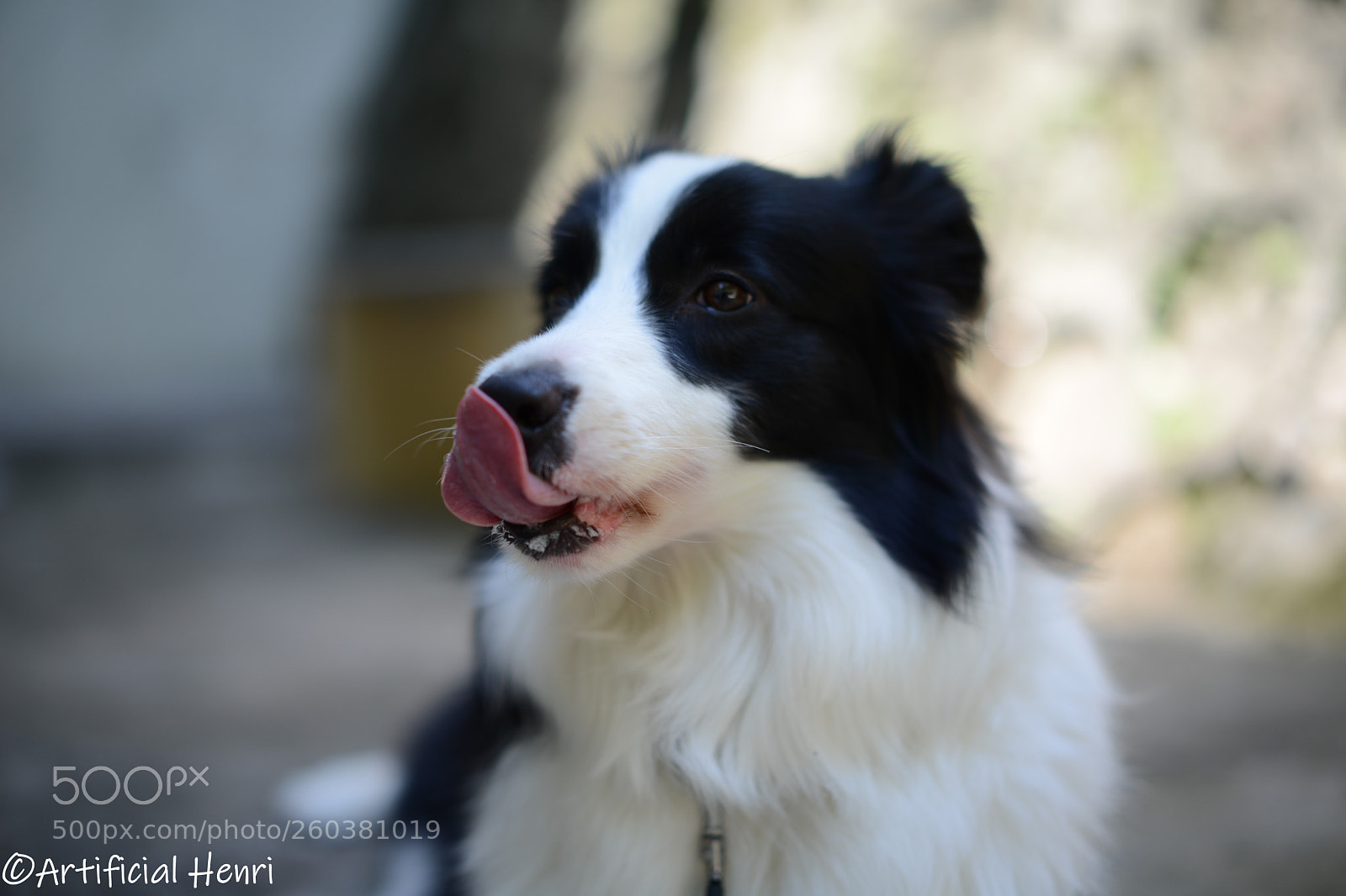 Nikon D800E sample photo. Haateew photography