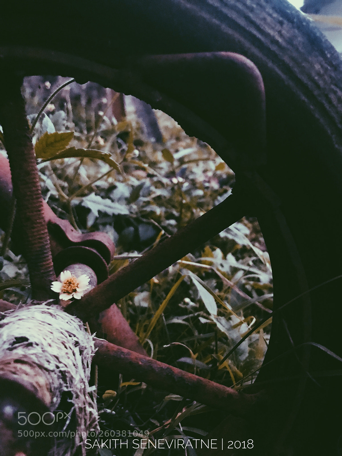 Apple iPhone 7 sample photo. Untitled photography
