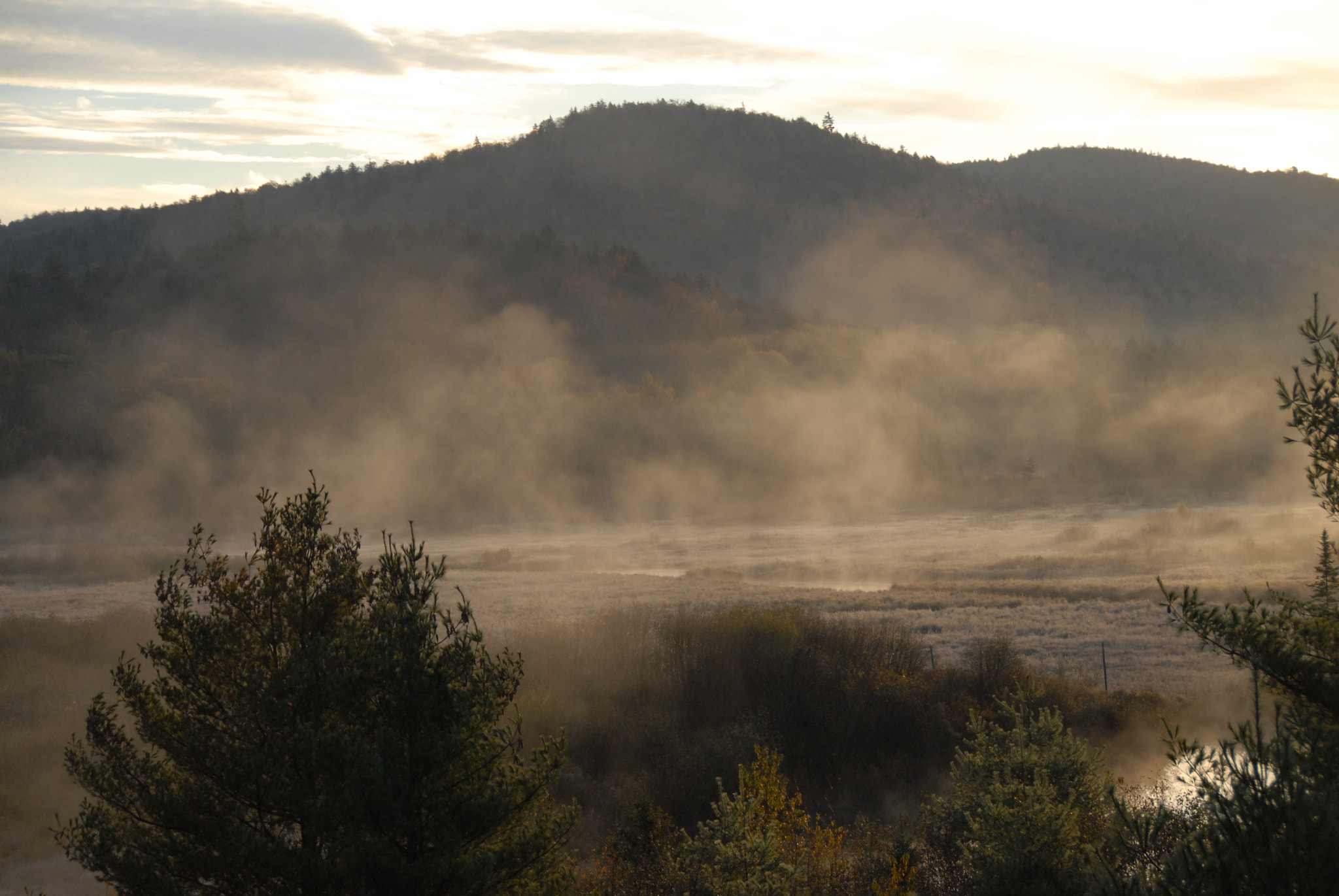Nikon D200 sample photo. Kur photography