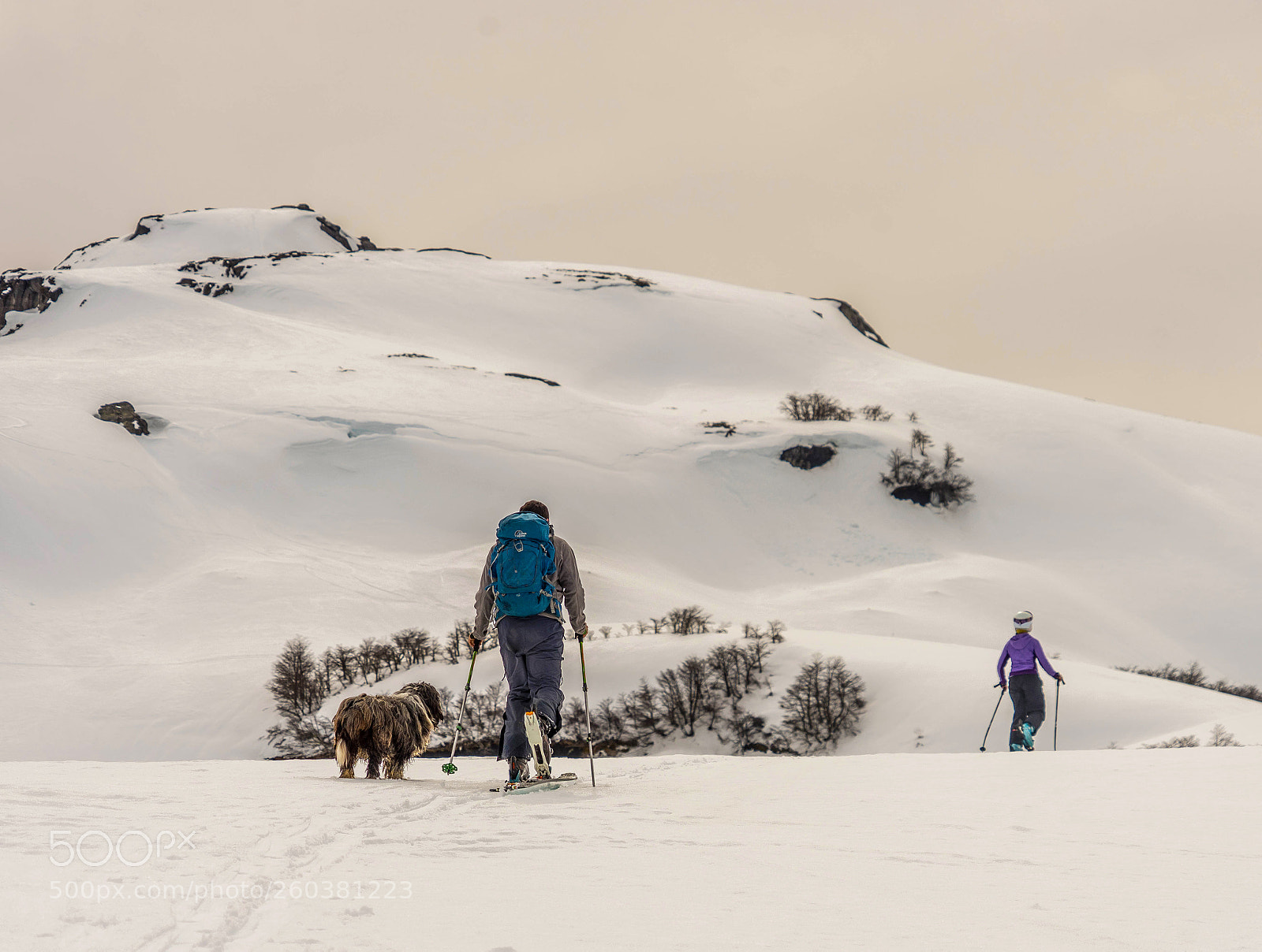 Sony a7 II sample photo. Winter partners photography
