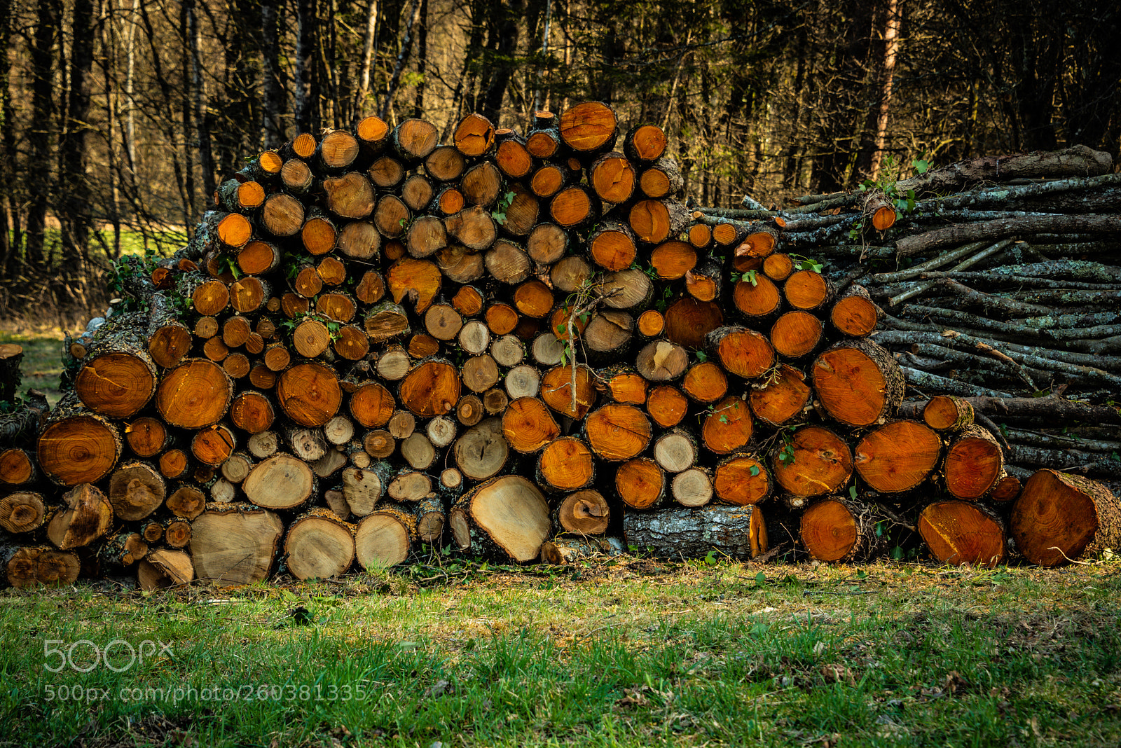 Nikon D750 sample photo. Large coloured stack of photography