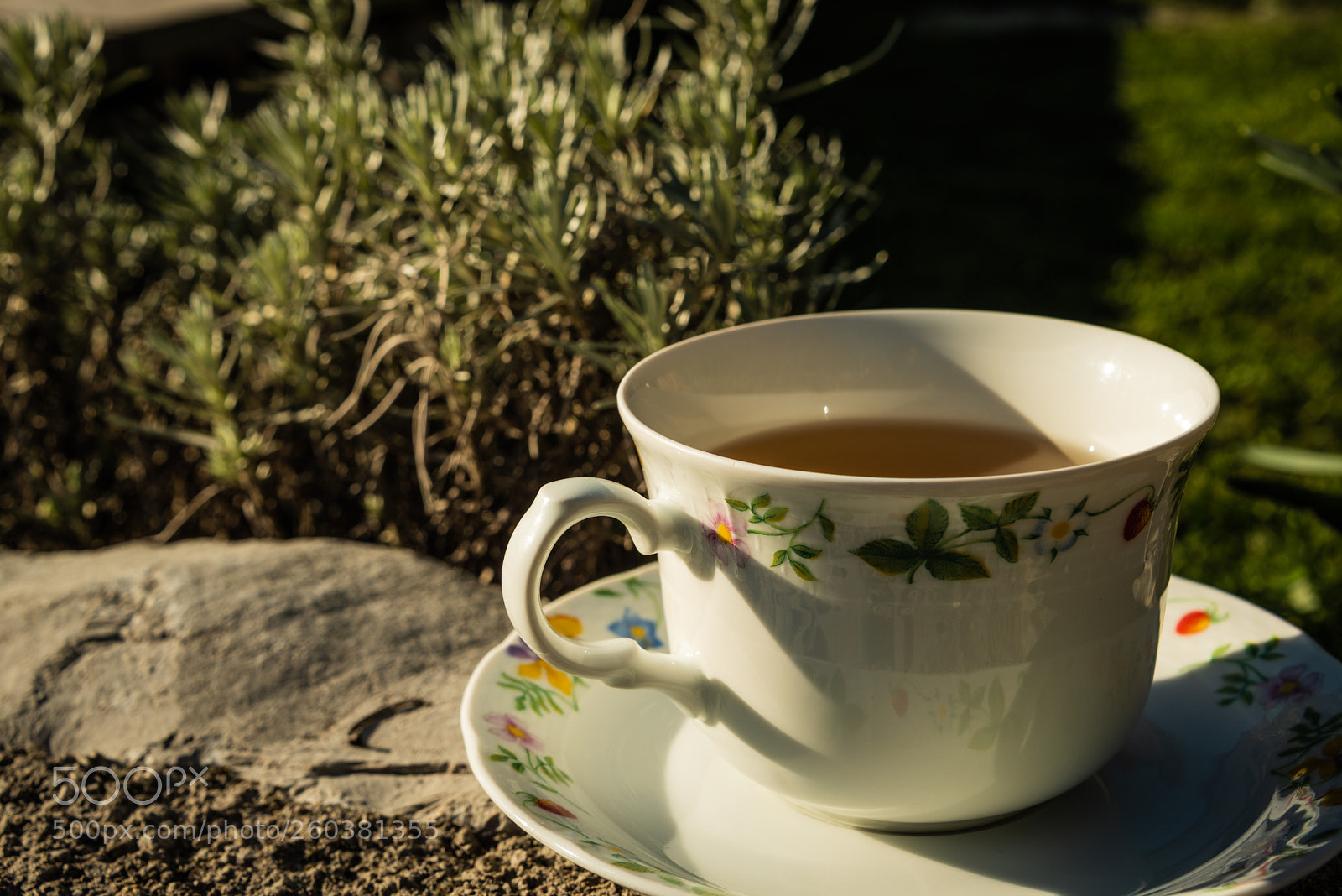 Nikon D750 sample photo. Tea cup in a photography