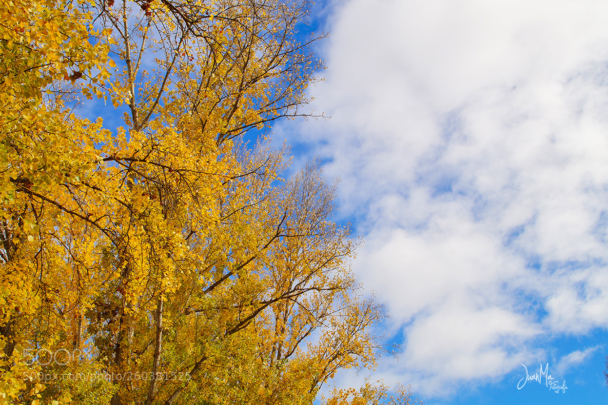 Sony SLT-A58 sample photo. Cielo & tierra: photography