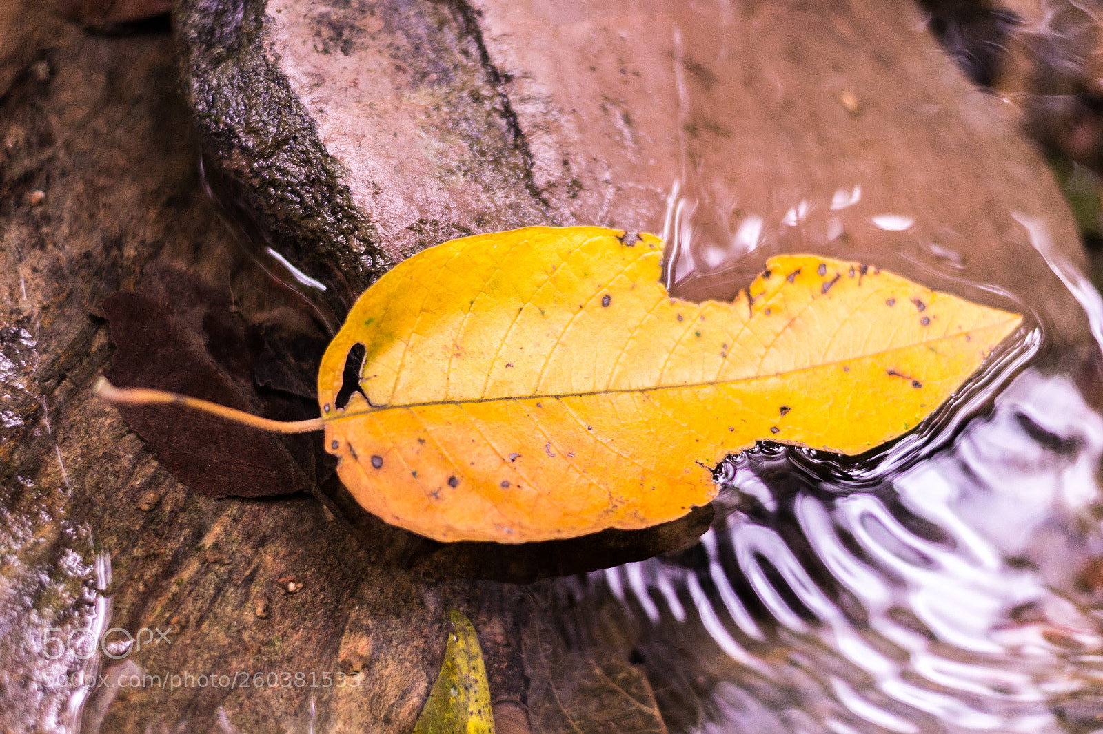 Nikon D3100 sample photo. Waters of june photography