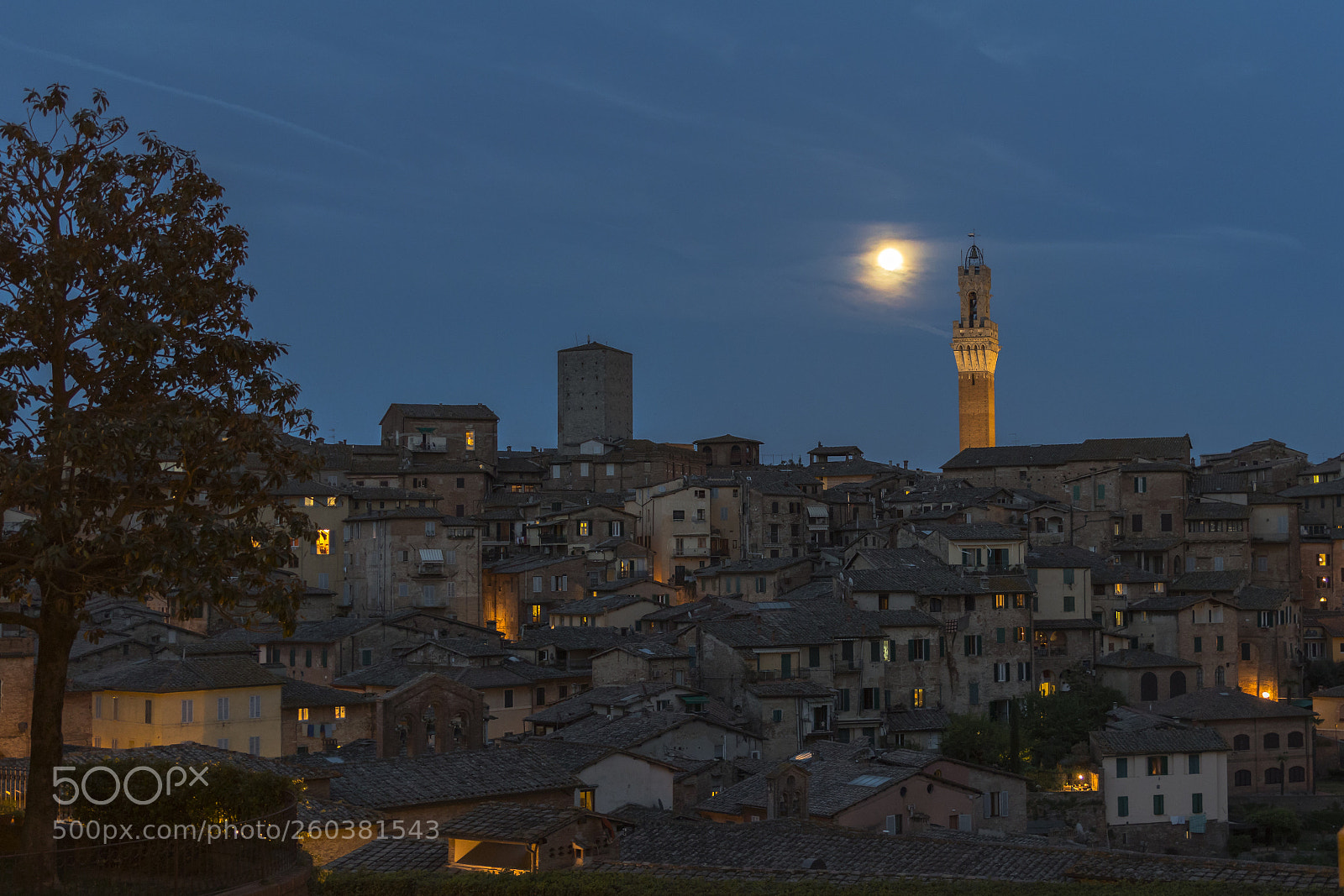 Canon EOS 7D Mark II sample photo. Siena photography