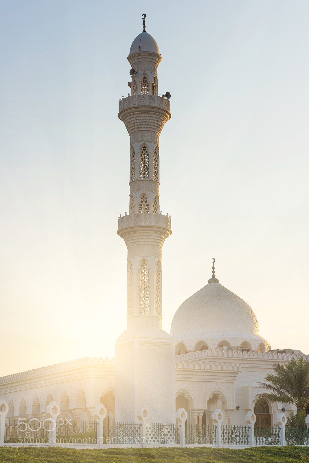 Nikon D810 sample photo. Mosque in liwa oasis photography