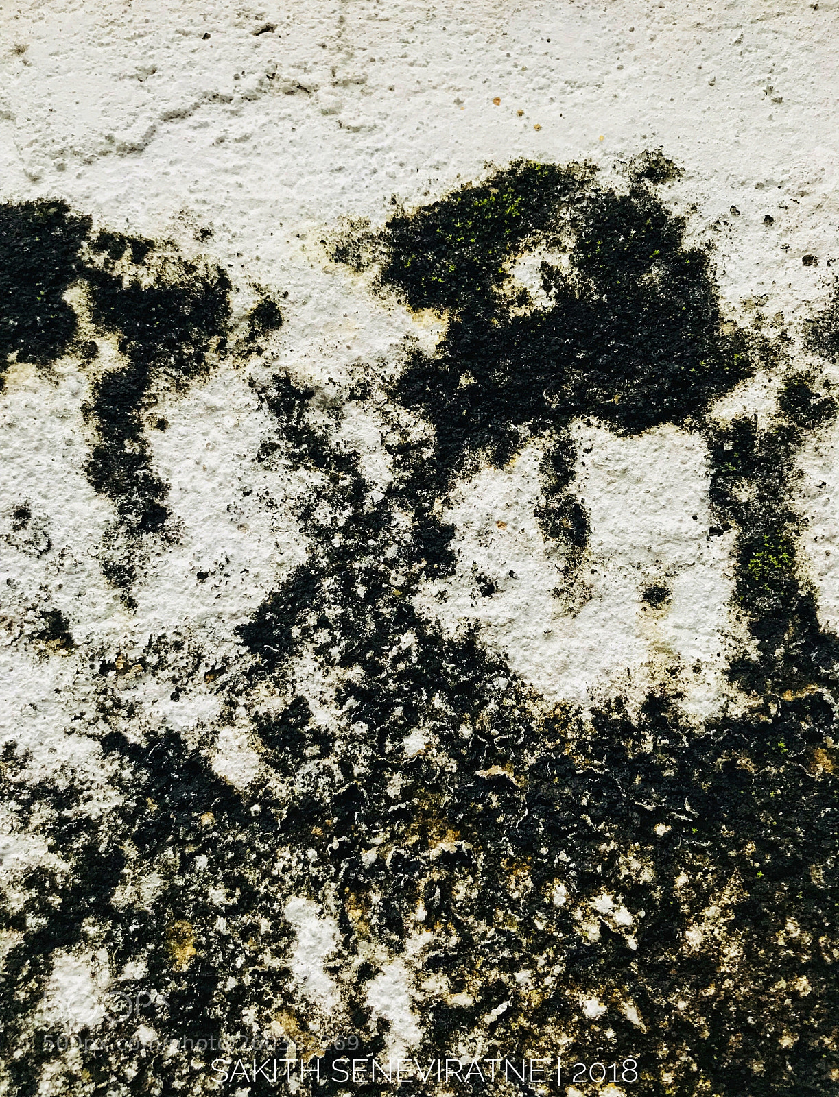 Apple iPhone 7 sample photo. Beauty of the ugly photography