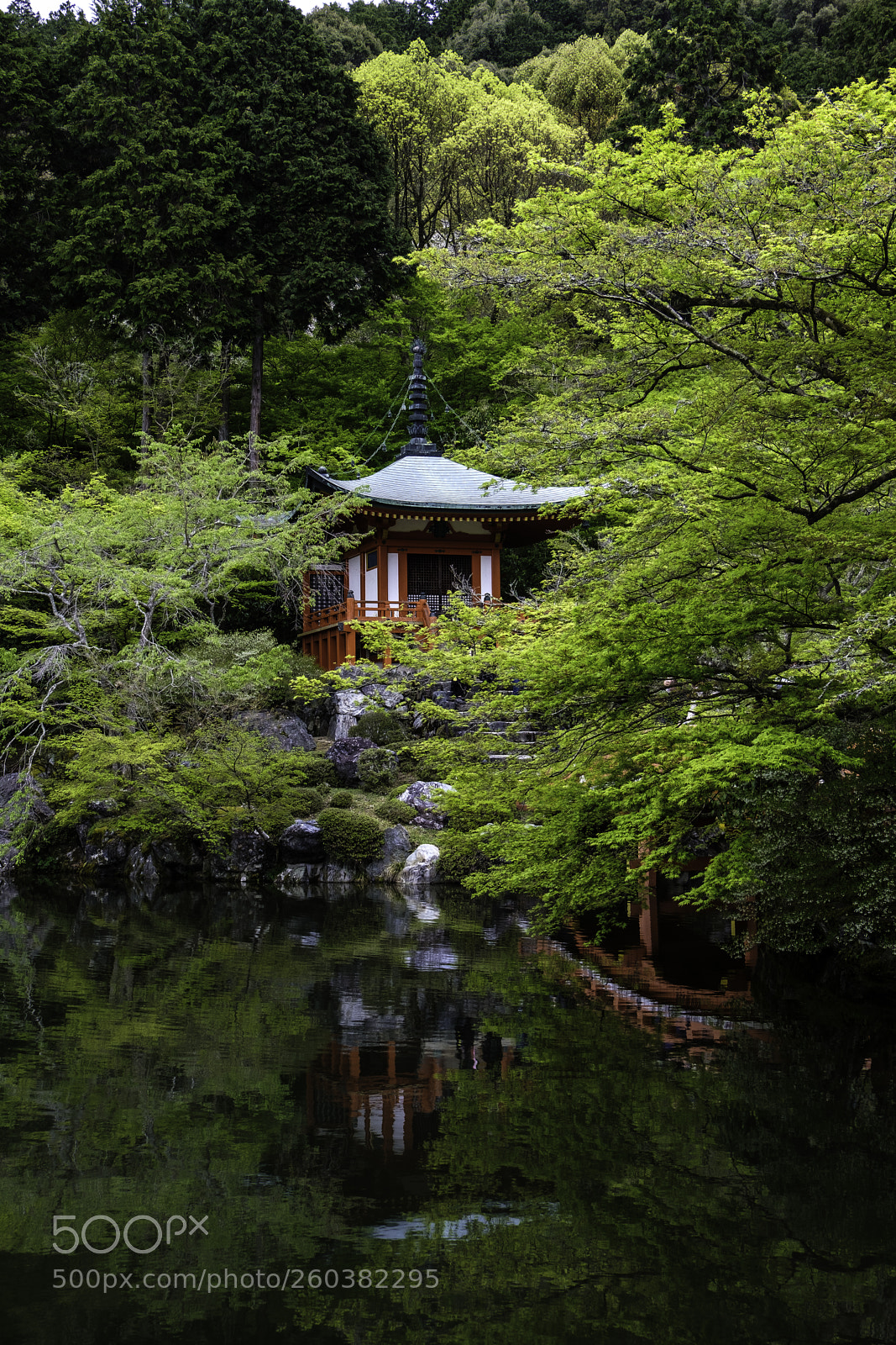 Fujifilm X-T2 sample photo. Japan-醍醐寺弁天池 photography