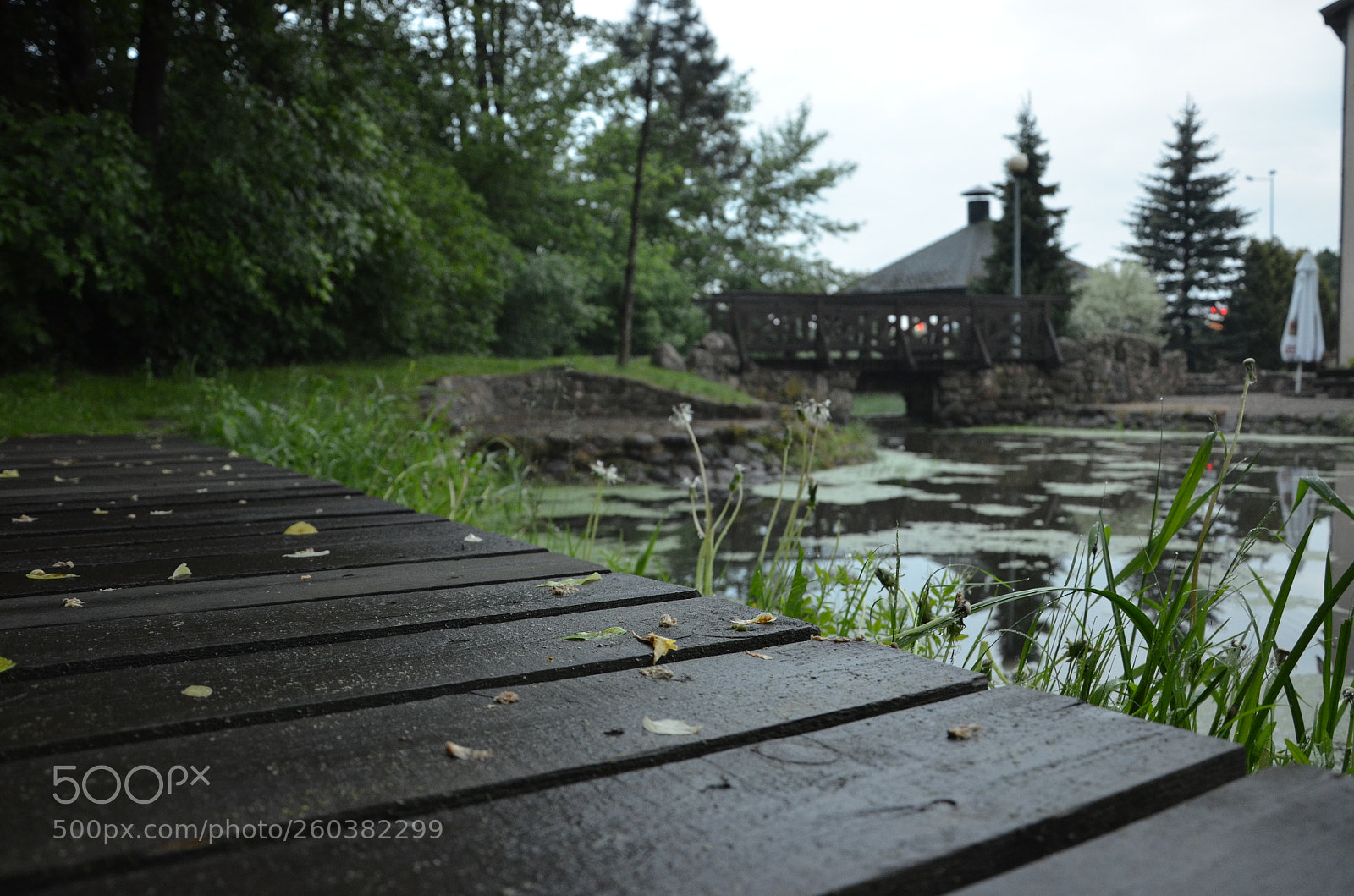 Nikon D5100 sample photo. Park near hotel photography