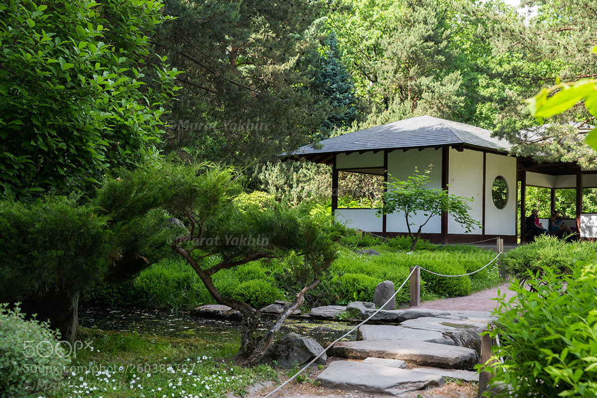 Canon EOS 6D sample photo. Japanese park in moscow photography