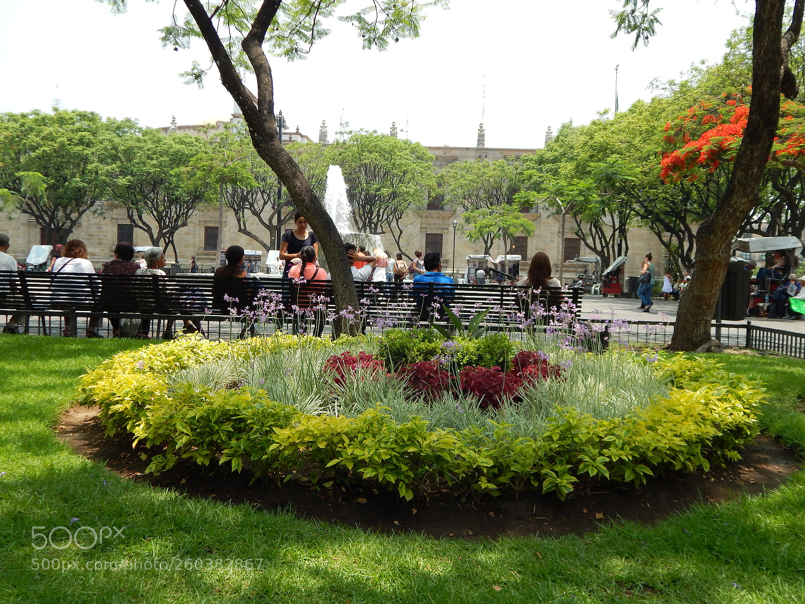 Nikon Coolpix L820 sample photo. Vida en ciudad photography
