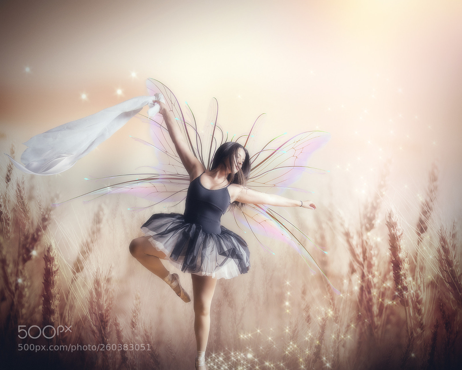 Nikon D810 sample photo. Fairy dancer photography