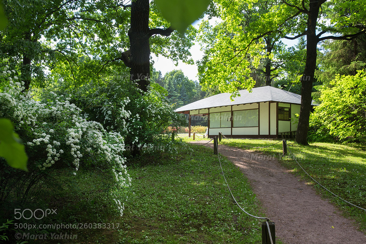 Canon EOS 6D sample photo. Onion in park moscow photography