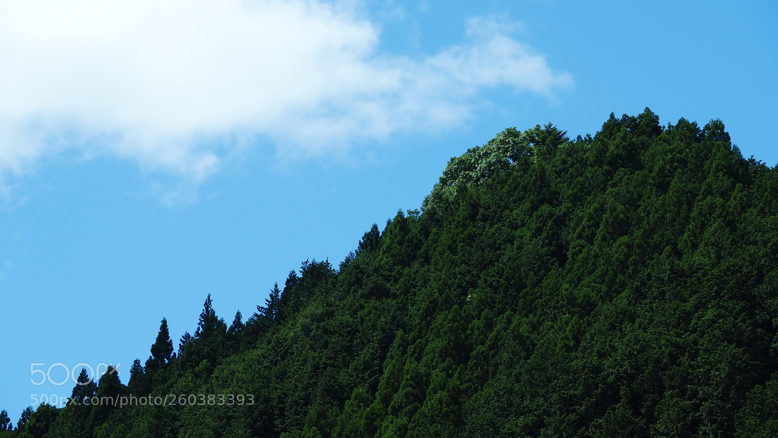 Olympus OM-D E-M1 Mark II sample photo. Mountain and cloud3 photography