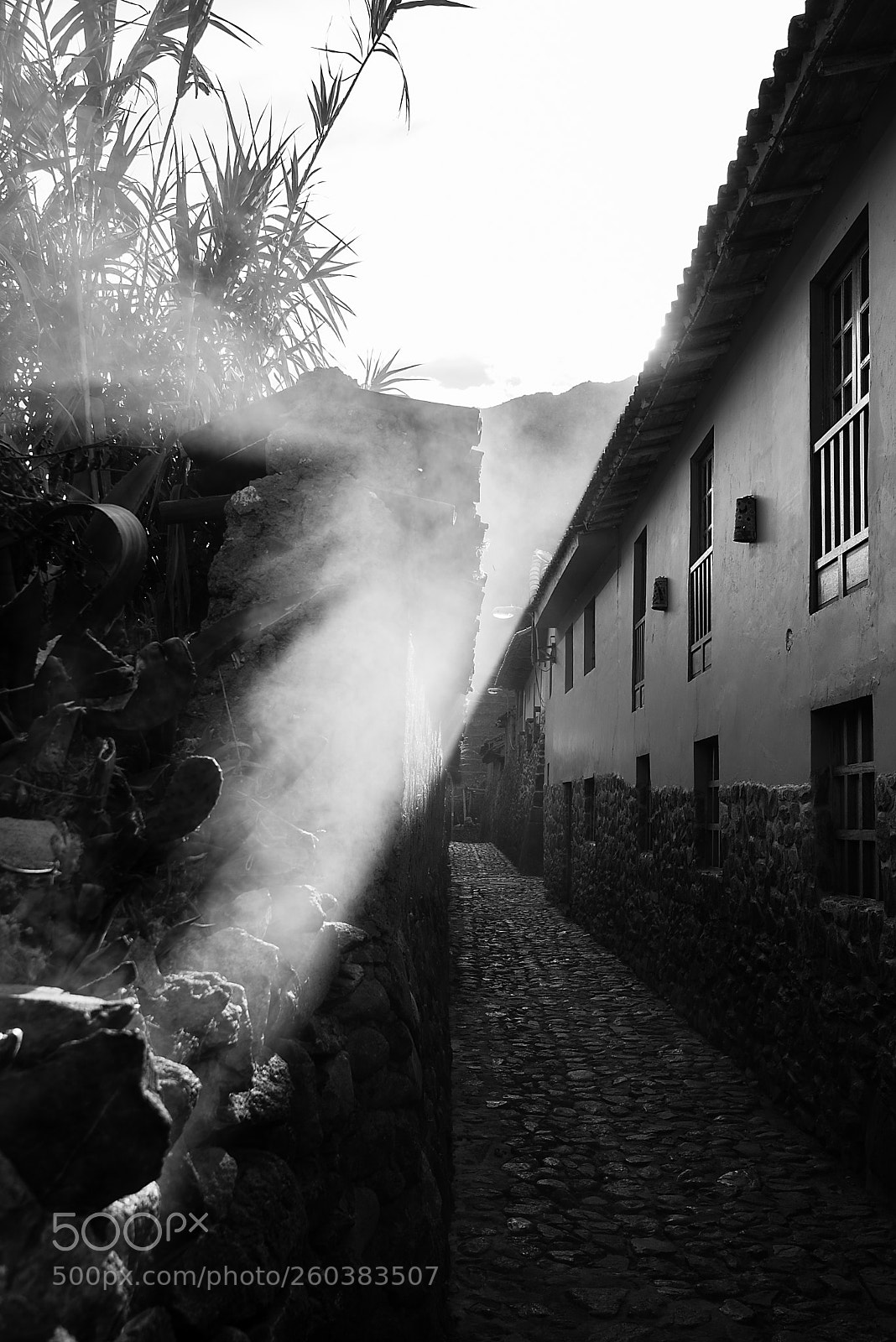 Nikon D610 sample photo. Cusco x photography