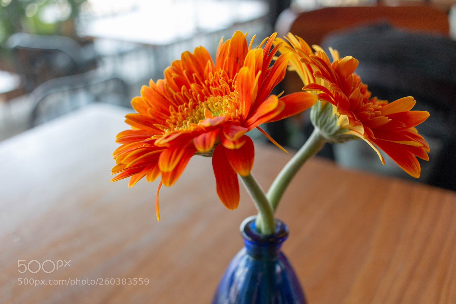 Canon EOS 70D sample photo. Looking at the bright photography