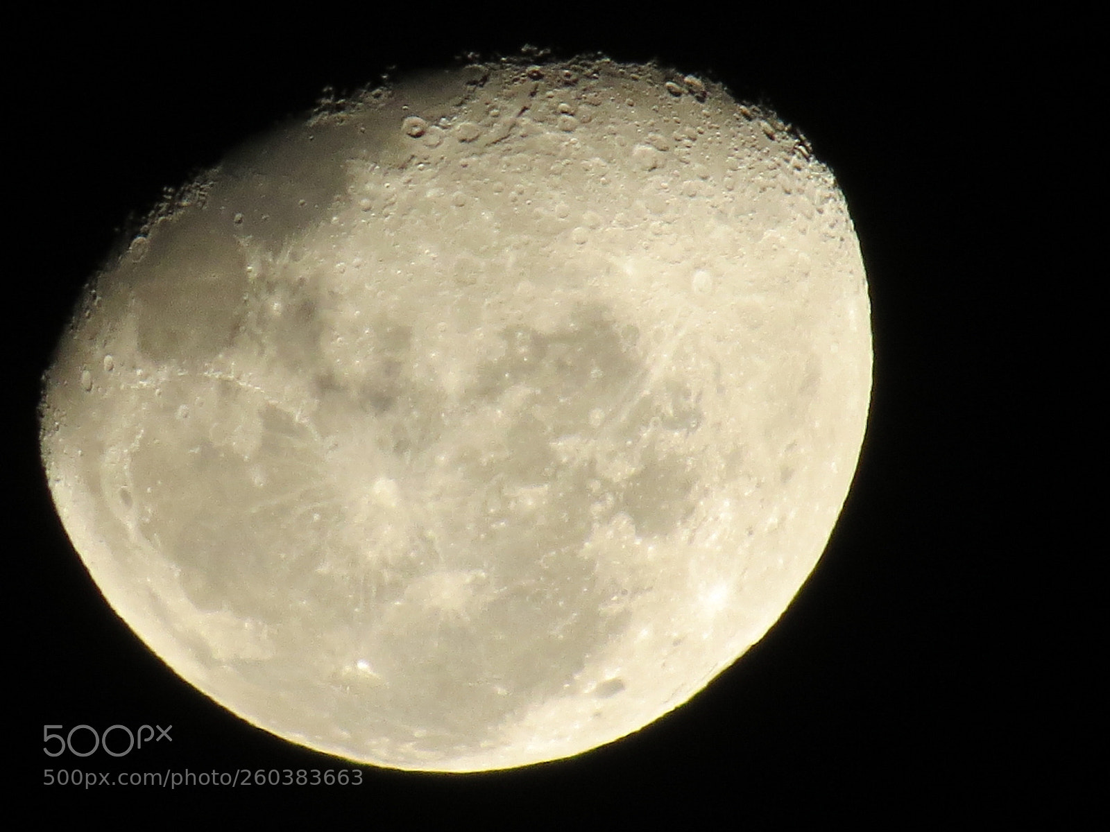 Canon PowerShot SX50 HS sample photo. Img photography