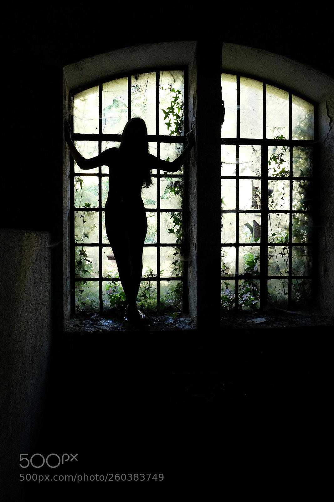 Fujifilm X-T10 sample photo. Looking at the window photography