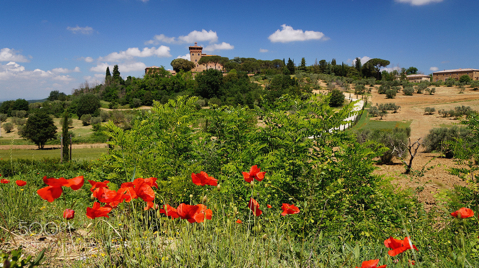 Sony SLT-A58 sample photo. Tuscany residence  photography