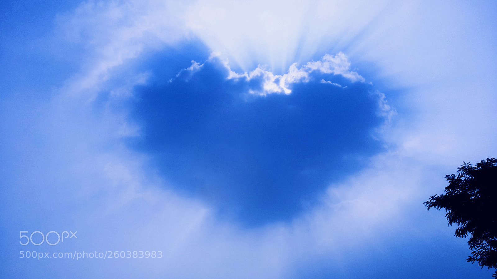 Samsung Galaxy S2 sample photo. Sunshine in the heart photography