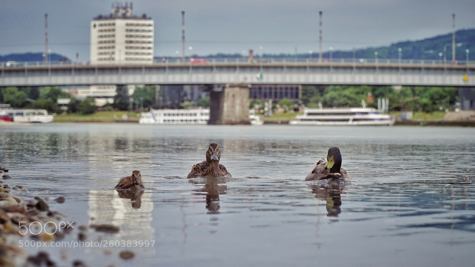 Sony a6300 sample photo. Raft. photography