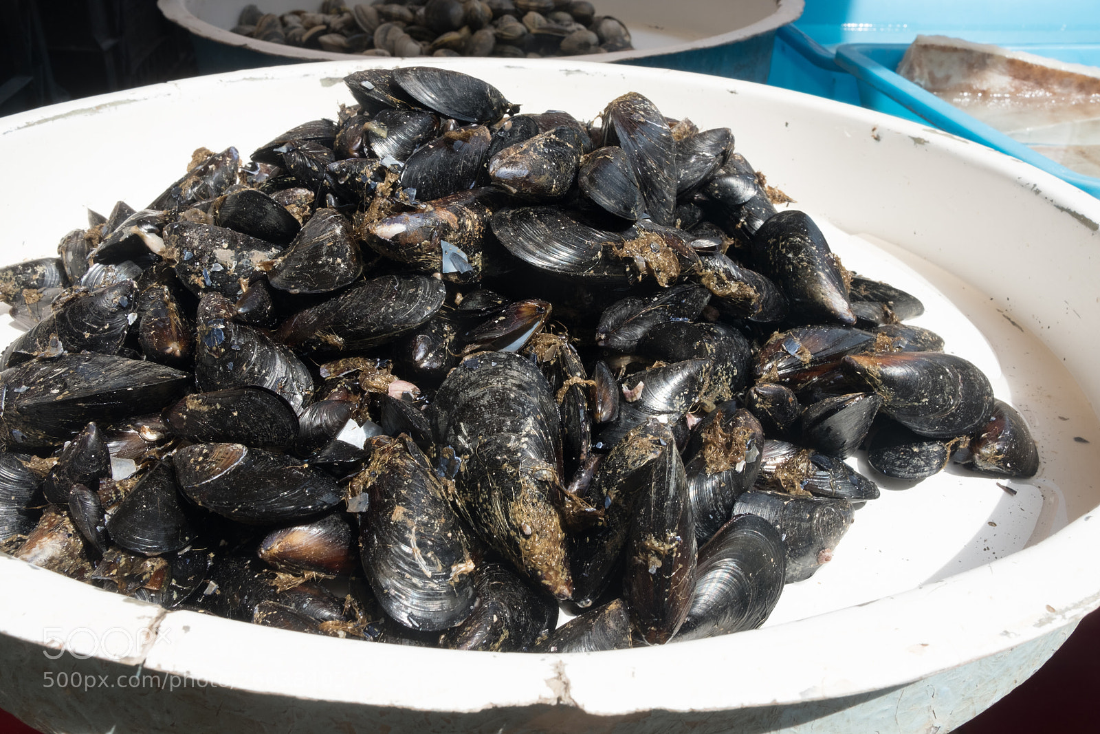 Fujifilm X-T2 sample photo. Fresh mussels at the photography