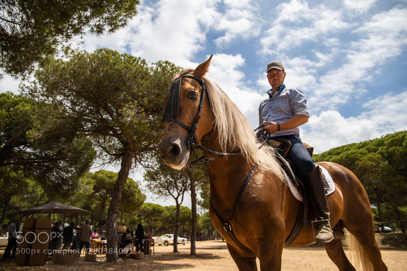 Canon EOS 6D Mark II sample photo. Horse rider instant photography